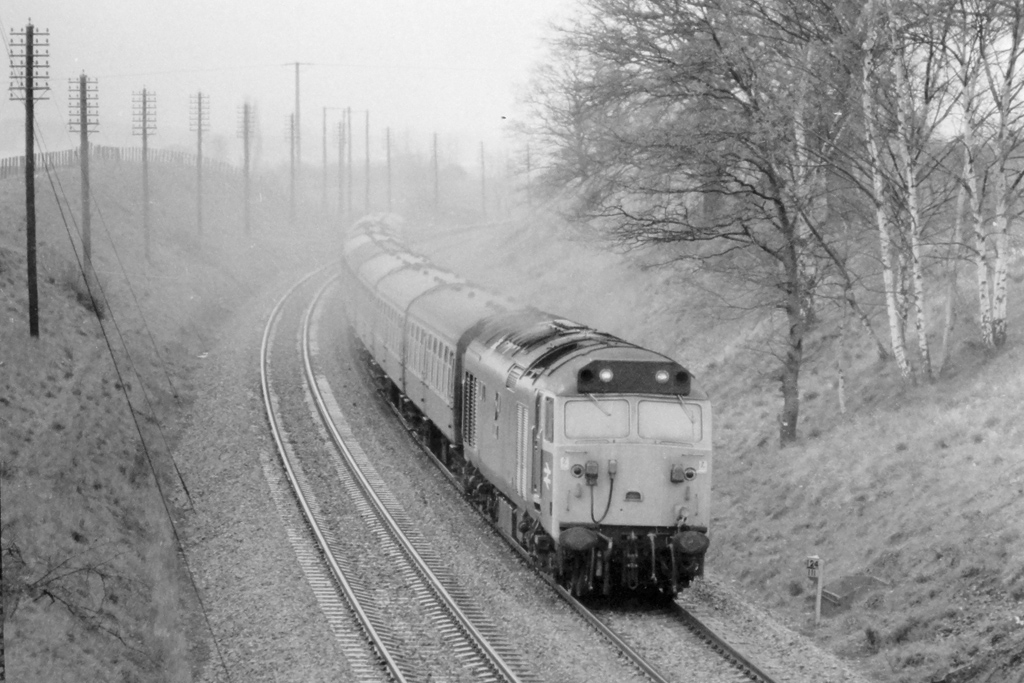 No.50035 at Salwarpe