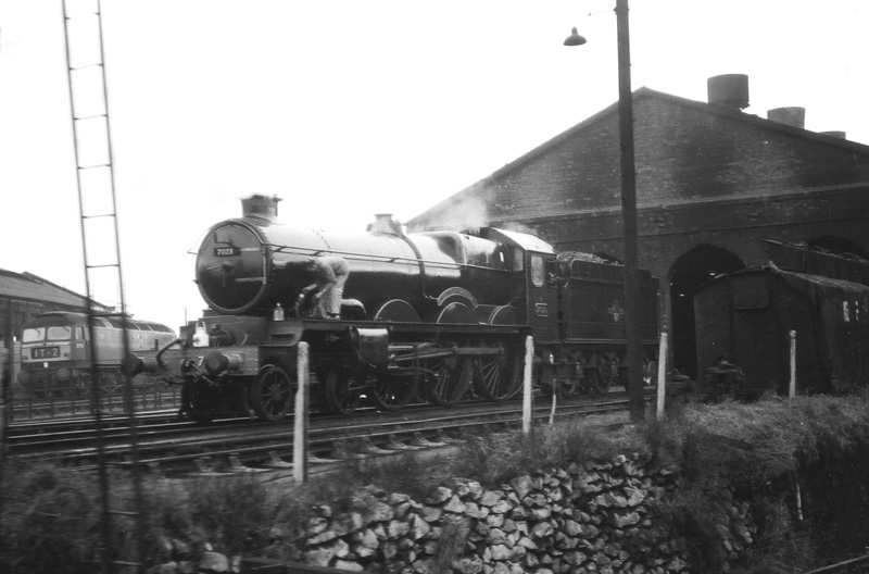 7029 on 23/11/1965
