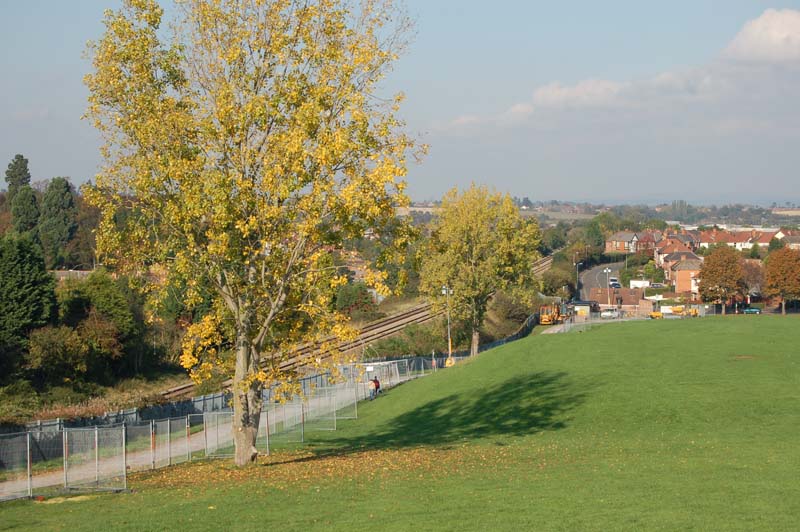Site of Astwood Halt