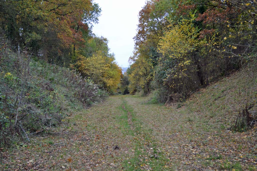 Trackbed at Brotheridge Green