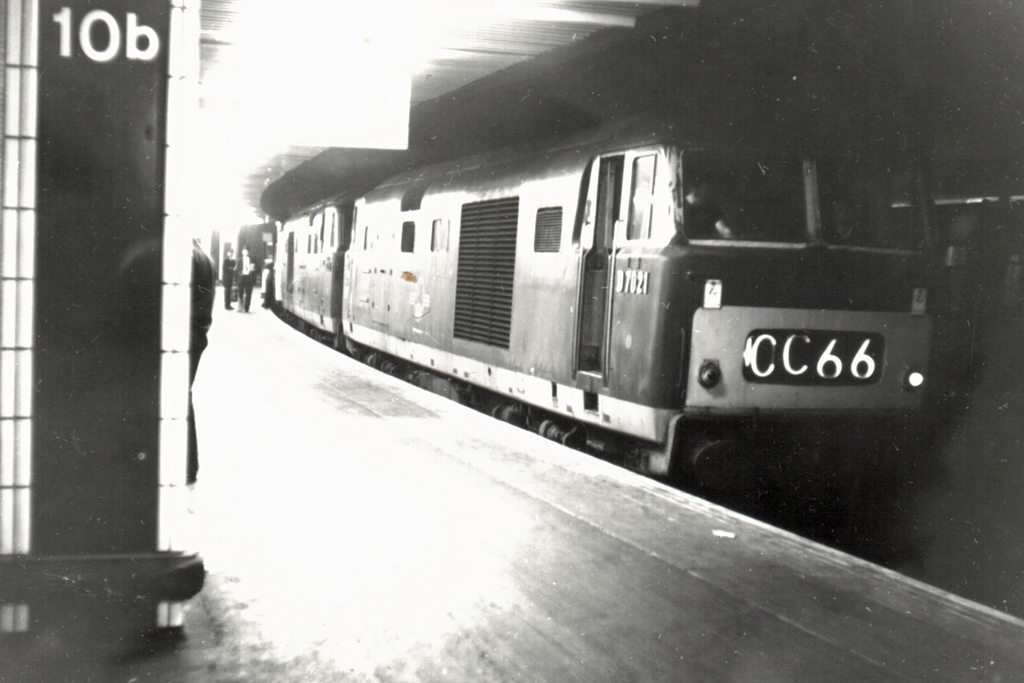 D7021 and D7025 
						   at Birmingham New Street