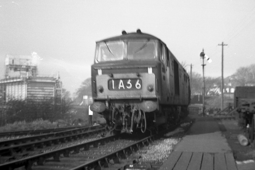 Hymek crosses Vinegar Works Branch
