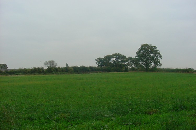 Near to the terminus at Frankley