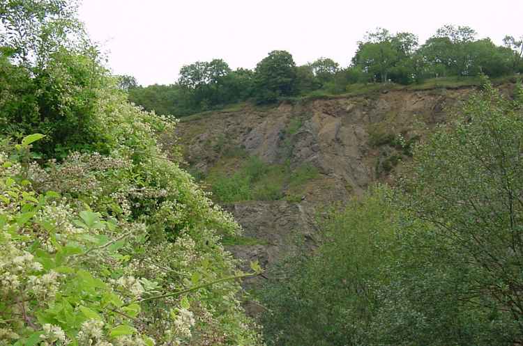Hollybush Quarry  - 2